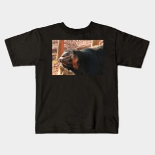 The Bear Necessities Kids T-Shirt